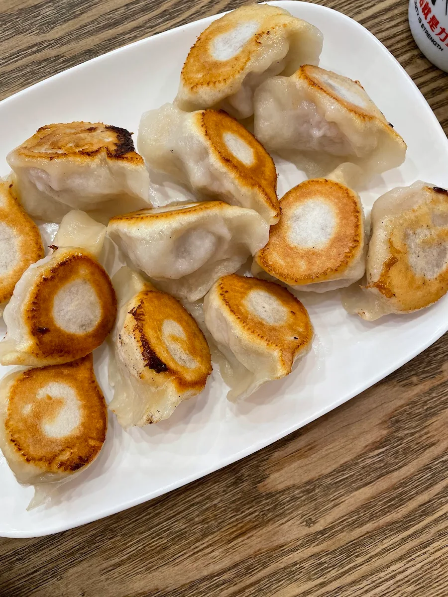 pan fried pork dumplings 猪肉锅贴, Song's Dumplings